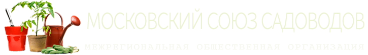 Главная